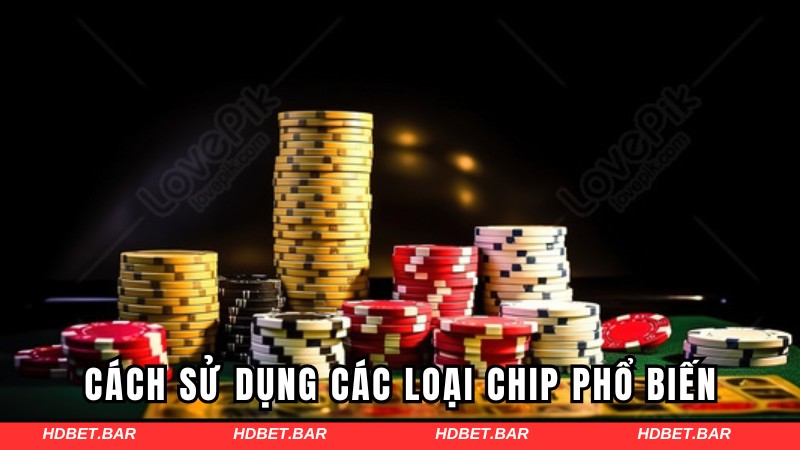 Cách sử dụng các loại chip phổ biến