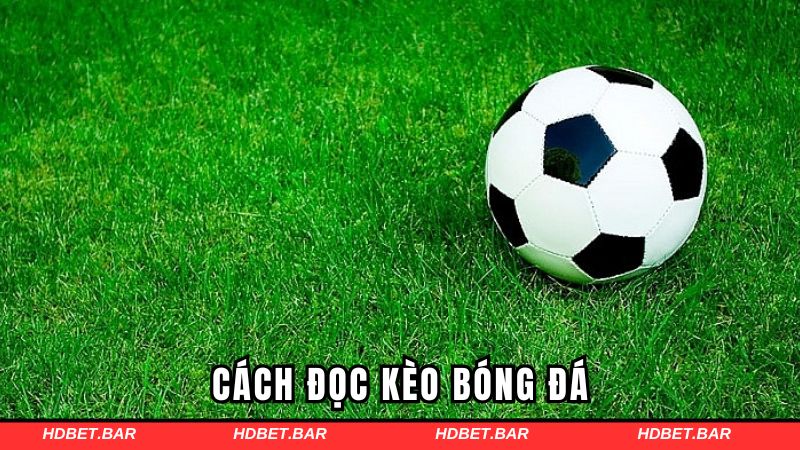 cách đọc kèo bóng đá