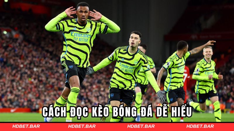 Cách đọc kèo bóng đá dễ hiểu cho người mới tham gia