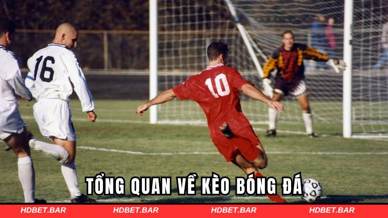 Tổng quan về kèo bóng đá