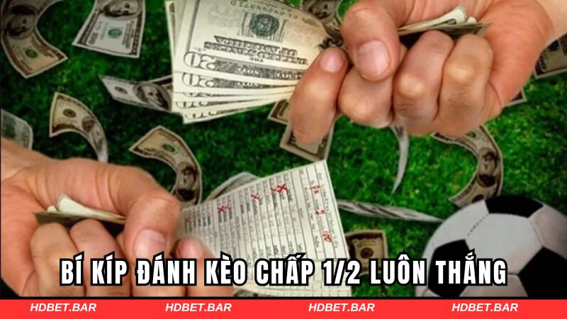 Bí kíp đánh kèo chấp 1/2 luôn thắng tại HDBET