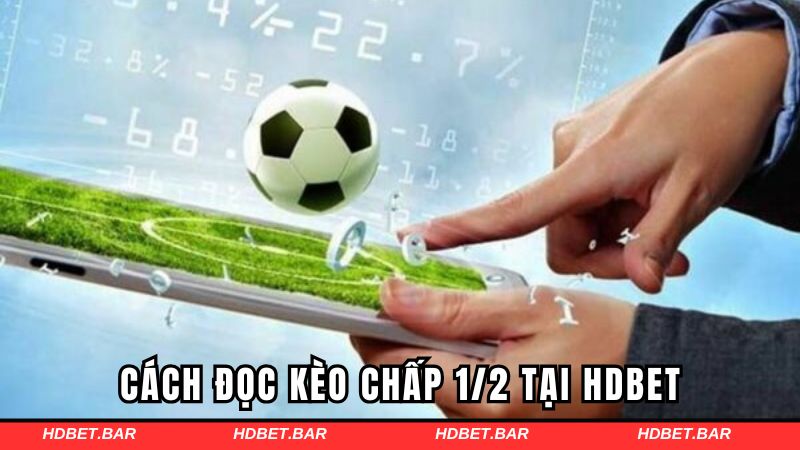 Cách đọc kèo chấp 1/2 tại HDBET