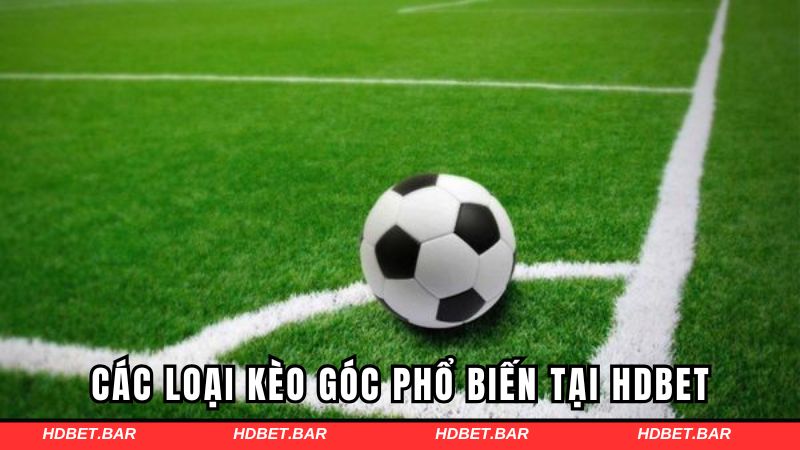 Các loại kèo góc phổ biến tại HDBET