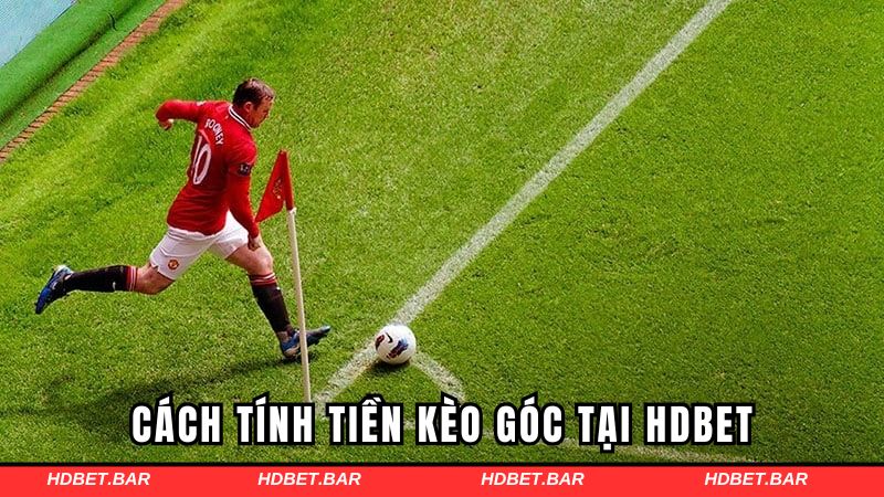 Cách tính tiền kèo góc tại HDBET
