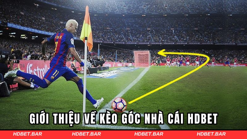 Giới thiệu về kèo góc nhà cái HDBET