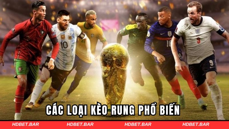 Các loại kèo cược rung phổ biến tại HDBET