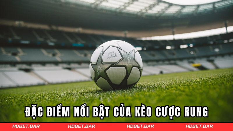 Một vài đặc điểm nổi bật của kèo cược rung