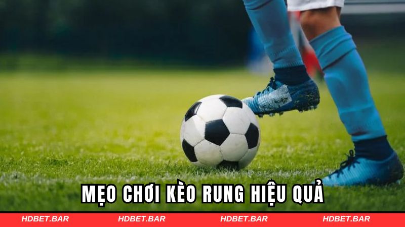 Những mẹo chơi kèo rung hiệu quả cho người mới