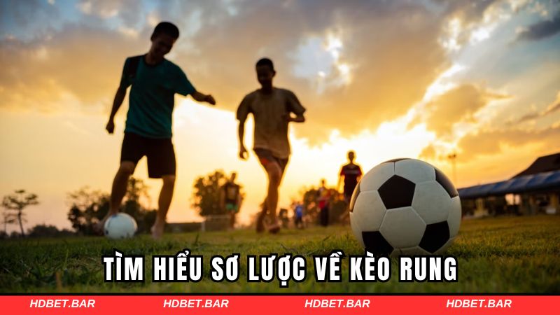 Tìm hiểu sơ lược về kèo cược rung