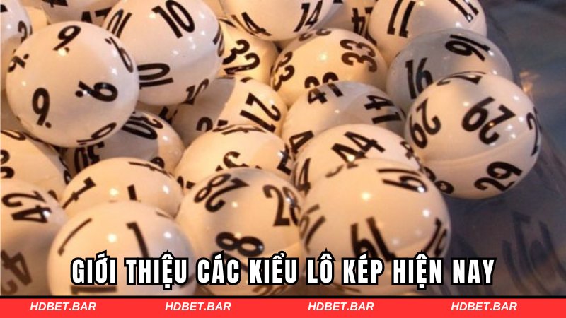 Khái niệm soi cầu bạch thủ lô kép