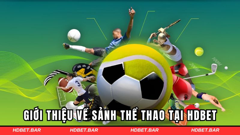 Giới thiệu vài nét về sảnh thể thao tại HDBET