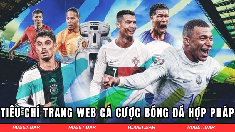 Tiêu chí để chọn trang web cá cược bóng đá hợp pháp