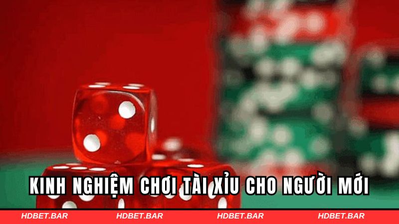 Kinh nghiệm chơi tài xỉu HDBET cho người mới bắt đầu